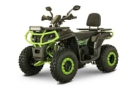 Квадроцикл YACOTA VIKING LONG 250 с ПСМ Квадроцикл YACOTA VIKING LONG 250 с ПСМ