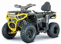 Квадроцикл YACOTA DRUID 250 Квадроцикл YACOTA DRUID 250