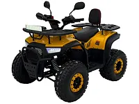Квадроцикл ROXY JM-VS125X2 Квадроцикл ROXY JM-VS125X2