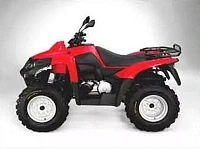 Квадроцикл BURELLI Terrano 300