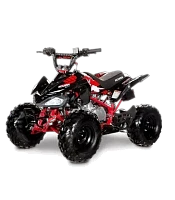 Квадроцикл ACCESS AMS 110 MINISPORT Квадроцикл ACCESS AMS 110 MINISPORT