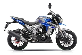 Мотоцикл Regulmoto T-Leopard 300