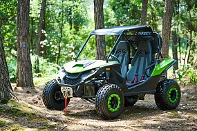 Багги UTV PROMAX Ranger 280 EFI