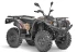 Квадроцикл Baltmotors (Балтмоторс) Striker 400 EFI