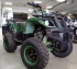 Квадроцикл ATV Avenger Evo