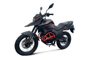 Мотоцикл TMBK RIGO 250