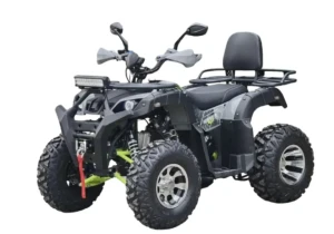 Квадроцикл RMOTO LION X 200