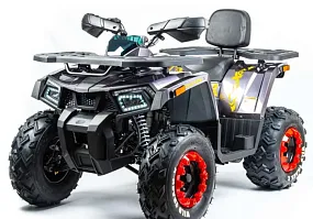 Квадроцикл TAO MOTOR ATV 200 Квадроцикл TAO MOTOR ATV 200