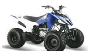 Квадроцикл ATV Pantera 150 CVT Квадроцикл ATV Pantera 150 CVT