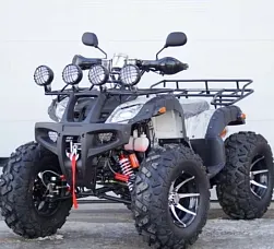 Квадроцикл STALKER 250 Premium