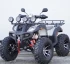 Квадроцикл STALKER 250 Premium