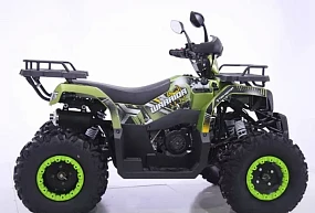 Квадроцикл YACOTA WARRIOR 200 Квадроцикл YACOTA WARRIOR 200