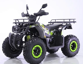 Квадроцикл YACOTA WARRIOR 200 PRO Квадроцикл YACOTA WARRIOR 200 PRO