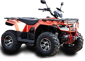 Квадроцикл IRBIS ATV 250 LUX (+лебедка) Квадроцикл IRBIS ATV 250 LUX (+лебедка)