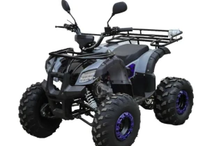 Квадроцикл RMOTO Kids 125