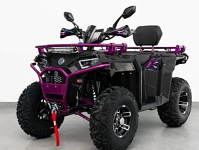 Квадроцикл APAKANI OPTIMUS 250 LD Квадроцикл APAKANI OPTIMUS 250 LD