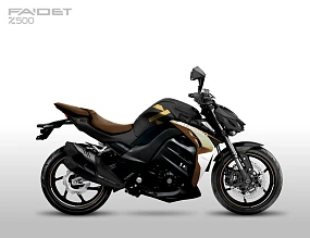 Мотоцикл FAIDET Z500 DEVIL
