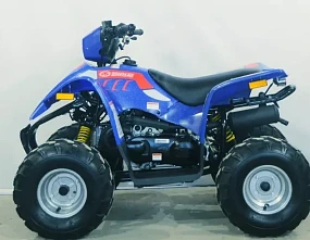 КВАДРОЦИКЛ LINHAI-YAMAHA Polar Fox КВАДРОЦИКЛ LINHAI-YAMAHA Polar Fox