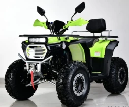 Квадроцикл APAKANI HAMMER 200L simple