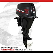 Лодочный мотор GOLFSTREAM (Гольфстрим) F9.9AFWS - EFI Enduro Лодочный мотор GOLFSTREAM (Гольфстрим) F9.9AFWS - EFI Enduro