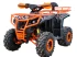 Квадроцикл IRIDE IRIDE RINO SUPER 125 3+1 Квадроцикл IRIDE IRIDE RINO SUPER 125 3+1