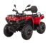 Квадроцикл Bizon YK250 BASIC CARB