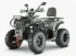 Квадроцикл YACOTA VIKING PRO 250