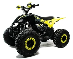 Квадроцикл MOTOLAND (МОТОЛЕНД) 125 RAPTOR A Квадроцикл MOTOLAND (МОТОЛЕНД) 125 RAPTOR A