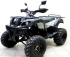 Квадроцикл ATV Avenger Tungus 250