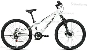 Велосипед подростковый Forward (Форвард) Rise 24 2.0 D (2022)