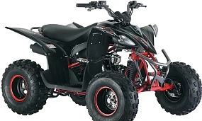 Квадроцикл Mikilon Rapide 120 Квадроцикл Mikilon Rapide 120