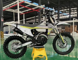 Мотоцикл Regulmoto NIBBI