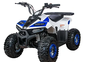 Квадроцикл Yacota Raposa 130 PRO-SPORT Квадроцикл Yacota Raposa 130 PRO-SPORT