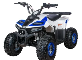 Квадроцикл Yacota Raposa 130 PRO-SPORT