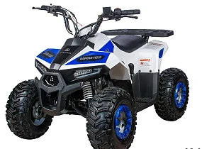 Квадроцикл Yacota Raposa 110 Квадроцикл Yacota Raposa 110