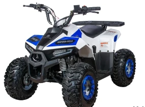 Квадроцикл Yacota Raposa 110